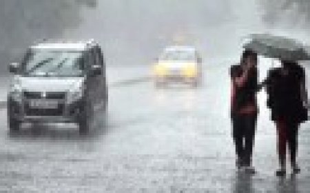 प्रदेश में मानसून का प्रभाव तेज, अधिकांश जिलों के लिए अलर्ट जारी