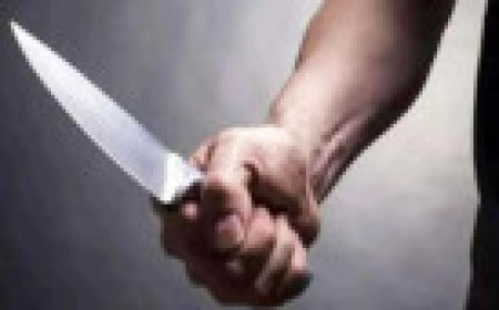 Jabalpur News: हनुमानताल में बिल्ली के चक्कर में चले चाकू