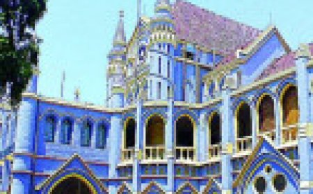 Jabalpur News: RDVV कुलगुरू पर लगे अभ्रद इशारे का मामला पहुंचा एमपी हाईकोर्ट,सीसीटीवी फुटेज को सुरक्षित रखने का निर्देश