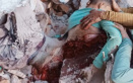 Jabalpur News: पापुलर ब्रेड फैक्ट्री में लापरवाही में गई मजदूर की जान, लाश दो टुकड़े हुई