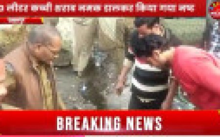 Jabalpur News: कटंगी में आबकारी विभाग की बड़ी कार्रवाई, 1225 लीटर महुआ शराब जब्त