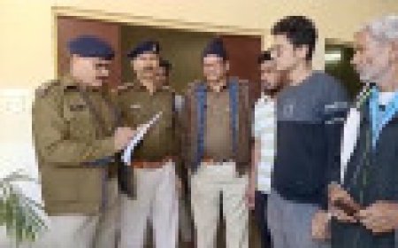 Jabalpur News: वेटरनरी अस्पताल में बधियाकरण के दौरान घोड़े की मौत, पुलिस थाने तक पहुंचा मामला