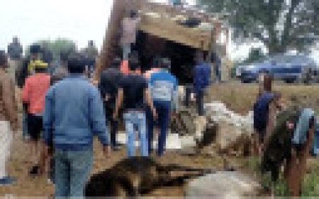 Jabalpur News: लोडिंग वाहन में भरकर ले जाए जा रहे थे गौवंश, कटंगी के बोरिया में वाहन छोड़ फरार हुए आरोपी