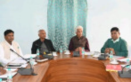 Jabalpur News: पटवारी विनिता नेमा को कार्य में उदासीनता बरतने पर कलेक्टर ने किया निलंबित