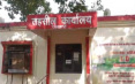 Jabalpur News: पनागर की महिला पटवारी की विभागीय जांच शुरु, जरीब छोटी कर कम खेत नापने का मामला