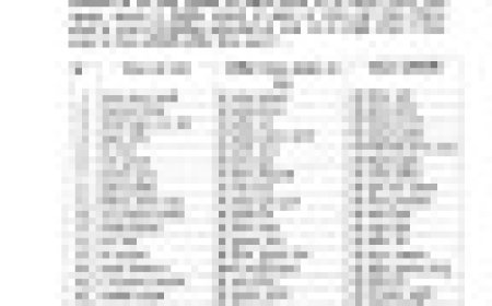 Jabalpur News: भाजपा जबलपुर नगर के 18 में से 17 मंडल अध्यक्ष घोषित, स्वामी विवेकानंद मंडल होल्ड