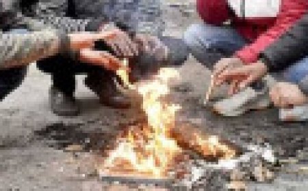 Jabalpur News: शीतलहर के साथ पारा 6 डिग्री पर पहुंचा