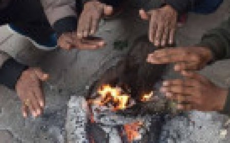 Jabalpur News:  एकदम से 7 डिग्री पर पहुंच गया पारा, शीतलहर के साथ महाकोशल में जबलपुर सबसे ठंडा