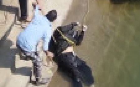 Jabalpur News: पिकनिक बना कर लौट रहे बाइक सवार नहर में गिरे, युवक बचा, युवती की मौत