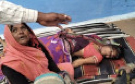 Jabalpur News: बहु के साथ सो रही  महिला की नकाबपोश बदमाशों ने की हत्या