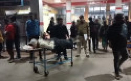 Jabalpur News: दयोदय गौशाला की दीवार गिरने से दो मजदूरों की मौत