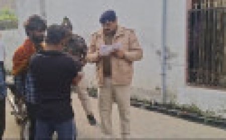 Jabalpur News: युवक के सिर पर पत्थर पटककर हत्या, सूअर नोंंच रहे थे लाश