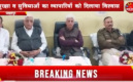 Jabalpur News: 30 नवंबर से नई मंडी पर होगी मटर की खरीदी, कलेक्टर ने सुरक्षा व सुविधाओं का व्यापारियों को दिलाया विश्वास