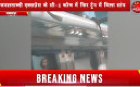 Jabalpur News: जनशताब्दी एक्सप्रेस में मिला सांप, बाहरी तो नहीं छोड़ रहा ट्रेनों में सांप,,, अब रेलवे इस ऐंगल से करेगा जांच