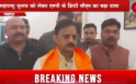 Jabalpur News: महाराष्ट्र चुनाव को लेकर एमपी के डिप्टी सीएम का बड़ा दावा, बोले महायुति की सरकार बनेगी