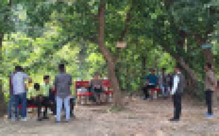 Jabalpur News: RDVV में शनिवार को रहता है अघोषित अवकाश, शैक्षेणिक गतिविधियां ठप्प...!