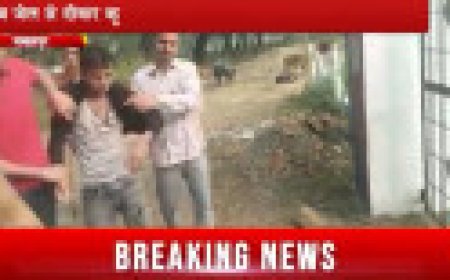 Jabalpur News: जेल से दीवार कूदकर भागे 2 कैदी, पुलिस ने पीछा कर धान के खेत से दबोचा...अब दीवार में सीढी लगाने वालों की तलाश