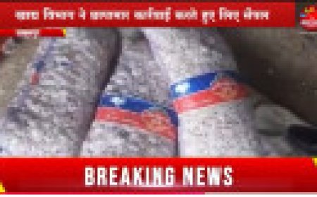 Jabalpur News: कृषि उपज मंडी में बेच रहे थे चायनीज लहसुन , खाद्य विभाग ने मारा छापा