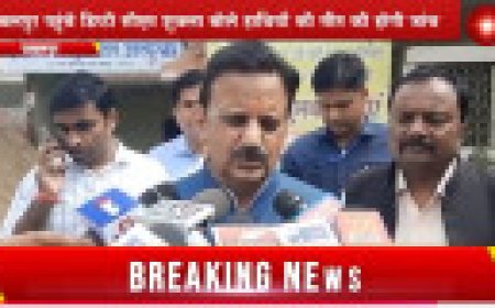 Jabalpur News: 3 हजार चिकित्सकों की भर्ती करेगी सरकार,जबलपुर पहुंचे डिप्टी सीएम शुक्ला बोले हाथियों की मौत की होगी जांच