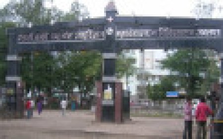 Jabalpur News: मेडिकल से हथकड़ी खोलकर भागा आरोपी, चार निलंबित