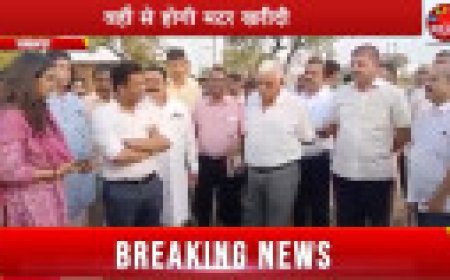 Jabalpur News: औरिया मटर मंडी से ही इस सीजन में होगी मटर खरीदी, व्यवस्थाओं का जायजा लेने विधायकों के साथ पहुंचे कलेक्टर