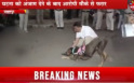 Jabalpur News: दीपावली में घर जा रहे युवक की जबलपुर रेलवे स्टेशन के बाहर हत्या