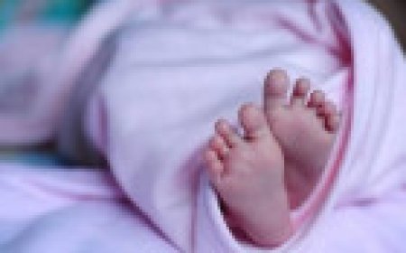 Jabalpur News: सदर महावीर कंपाउंड में मियां-बीवी के झगड़े में तीन मंजिला भवन से गिरी 6 माह की मासूम, मौत