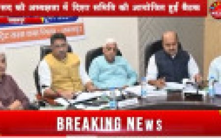 Jabalpur News: दिशा की बैठक में स्वास्थ्य सेवाओं को लेकर छलका जनप्रतिनिधियों का दर्द, बोले शिक्षा माफिया जैसी हो कार्यवाही ंंं