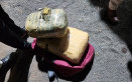 Jabalpur News: गांजा तस्कर 2 महिला सहित 4 गिरफ्तार