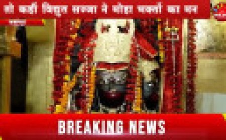 Jabalpur Durgotsav: कहीं 51 फीट की प्रतिमा, तो कहीं विद्युत सज्जा ने मोहा