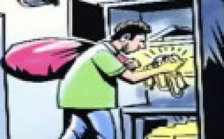 Jabalpur News: सोने-चांदी से भरा बैग लेकर भागे चोर तेवर तक दिखे, फिर गायब!