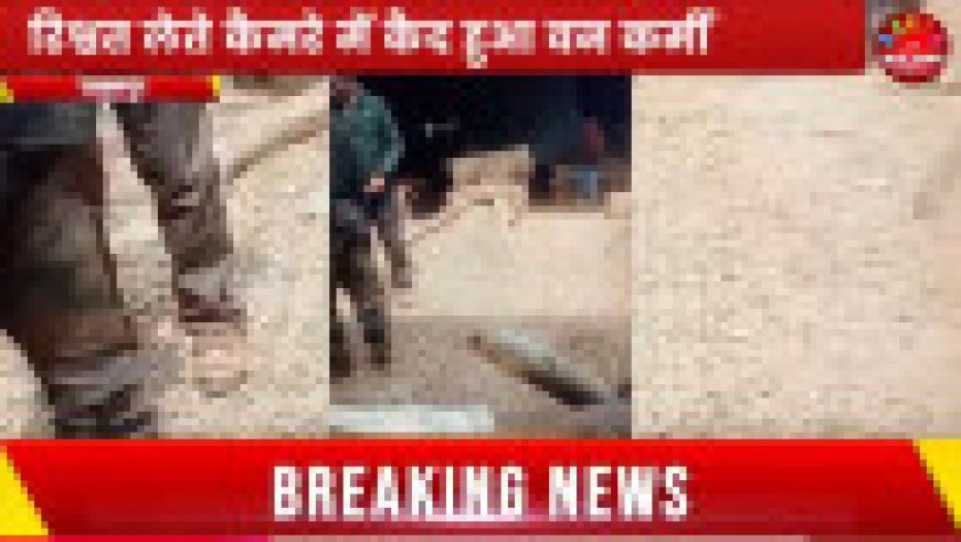 Jabalpur News: पैसे लेते कैमरे में कैद हुआ वन कर्मी, वन विभाग ने शुरू की जांच