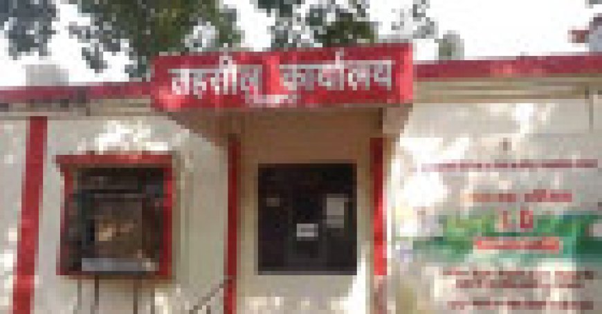 Jabalpur News: पनागर की महिला पटवारी की विभागीय जांच शुरु, जरीब छोटी कर कम खेत नापने का मामला