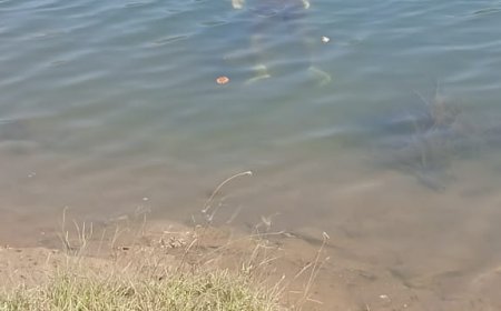 Jabalpur News: बैंगलुरू के अभिषेक का सहजपुरी घाट में मिला शव, महाकुंभ से लौट कर बरगी बांध देखने आया था