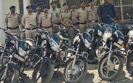 Jabalpur News: अहमद नगर की झाड़ियों में मिली 18 बाइक, पुलिस ने तीन वाहन चोरों को दबोचा