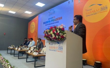 सीगल वेंचर: ग्रोथ हैकिंग और ज्ञान परामर्श के क्षेत्र में अग्रणी भारतीय कंपनी