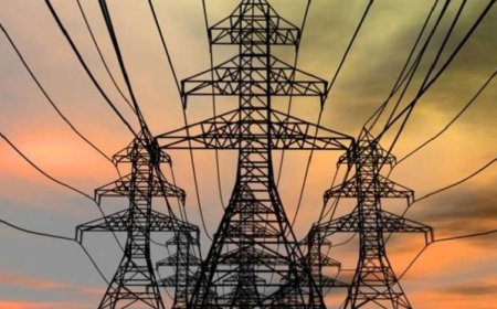 MP News : बिजली कंपनियों में रिक्त 2573 पदों की भर्ती के लिए ऑनलाइन परीक्षा 20 मार्च से