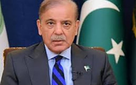 पाकिस्तान के झुनझुने को भारत ने ऐसा तोड़ा,अंतर्राष्ट्रीय मंच से भारत के खिलाफ उगला जहर जानिए