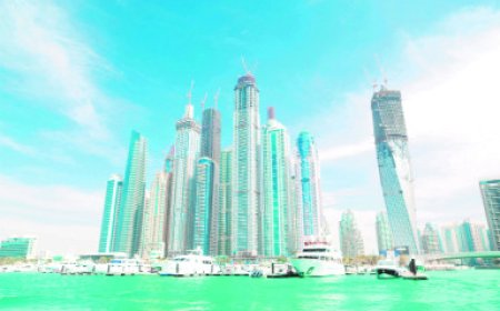 विदेशों की प्रॉपर्टीज में ड्रग माफिया से मोस्ट वॉन्टेड तक का पैसा!  भारतीय धनकुबेरों के दुबई में आसमान छूते आशियाने