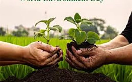 स्वच्छ पर्यावरण स्वस्थ समाज, विश्व पर्यावरण स्वास्थ्य दिवस पर जानिए इस दिन का महत्व और थीम