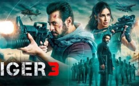 संडे को Tiger 3 ने बॉक्स ऑफिस पर भरी दहाड़, कमाई में आया उछाल