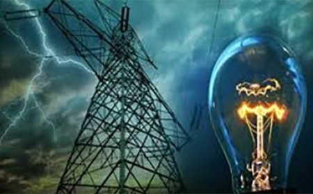 ऊर्जा मंत्री तोमर ने कहा की बिना अस्थायी कनेक्शन के अब झांकी और पंडालों की नहीं होगी सजावट, , गाइडलाइन जारी नियमों के उल्लंघन पर लायसेंस निरस्तीकरण की कार्रवाई