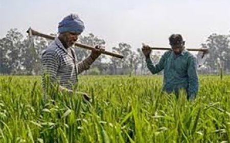 दिवाली से पहले आएगी 18वीं किस्त! जल्द पूरा कर लें ये काम, फिर खाते में आएंगे 2000-2000 रु, इन किसानों को नहीं मिलेगा लाभ