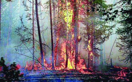 जनसहयोग से ही हो काबू पाने के प्रयास