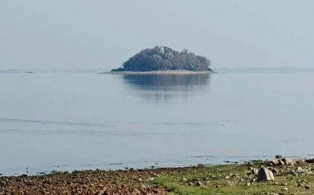 MP News: माताटीला डेम हादस के 18 घंटे की तलाश के बाद मिले 6 शव, 12 साल के बच्चे ने चोटी पकड़ कर बचाई थी मां-चाची की जान