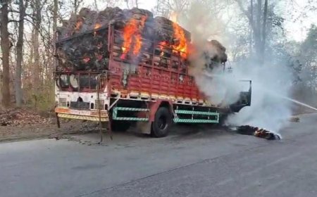 Jabalpur News: छत्तीसगढ़ के भाटापाडा से बरदाना लेकर जबलपुर आ रहे ट्रक में लगी आग