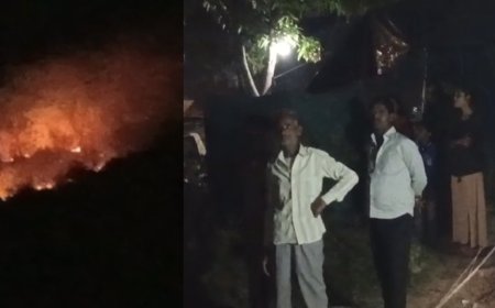 Jabalpur News: पुलिस क्वार्टर के पीछे पहाड़ी में लगी आग, दमकल कर्मियों ने समय रहते पाया काबू