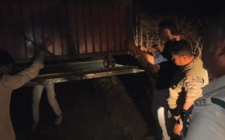 Jabalpur News: रात 3 बजे कुंडम के जंगल में छोड़ी गई OFK से रेस्क्यू की गई मादा तेंदुआ,  वन विभाग की टीम ने ली राहत की सांस