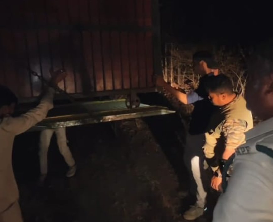 Jabalpur News: रात 3 बजे कुंडम के जंगल में छोड़ी गई OFK से रेस्क्यू की गई मादा तेंदुआ,  वन विभाग की टीम ने ली राहत की सांस
