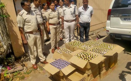 Jabalpur News: टाटा सफारी कार में ढुल रही थी अवैध शराब, आबकारी उड़न दस्ता ने घेरा बंदी कर दबोचा